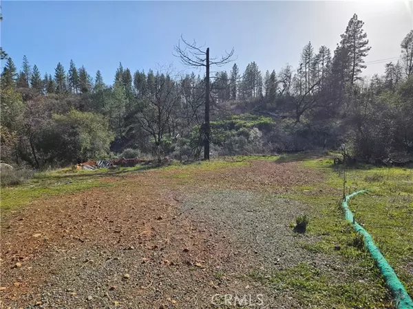 Berry Creek, CA 95916,6 Feather Ridge WAY