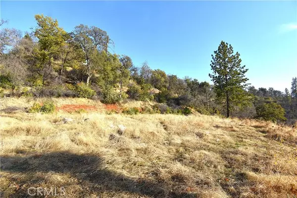 Berry Creek, CA 95966,0 Canyon Creek RD