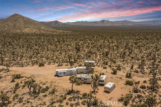 98202 Old Cima Ranch RD, Cima, CA 92323