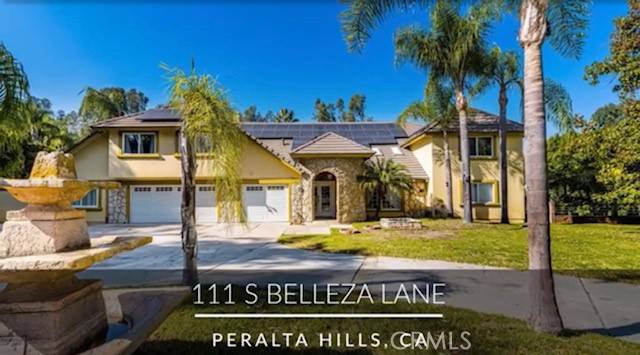 111 S Belleza LN, Anaheim Hills, CA 92807