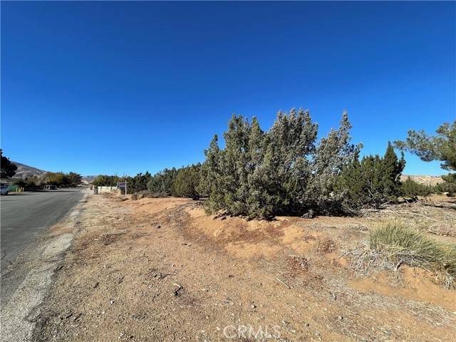 Palmdale, CA 93550,0 Vac/Cor Tye Pl/Ave R12