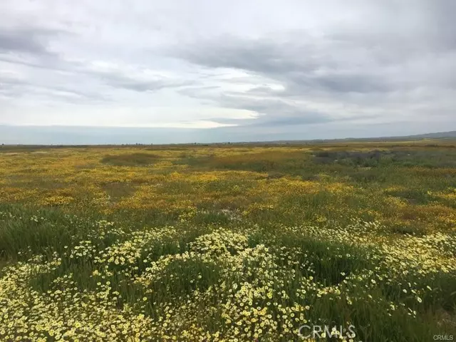 California Valley, CA 93453,0 Atolia - B