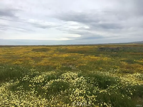 0 Buffalo - B, California Valley, CA 93453