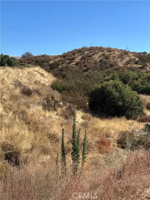 0 Koontz RD, Agua Dulce, CA 91390