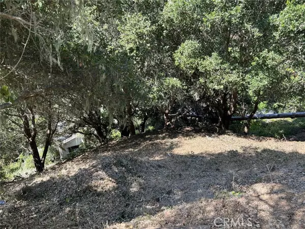 Cambria, CA 93428,0 Hillcrest DR