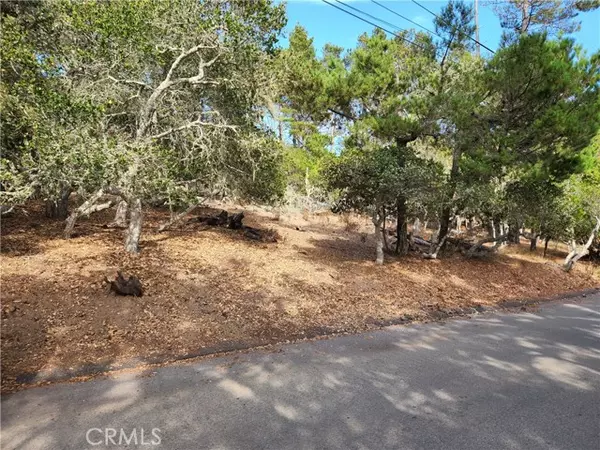 Cambria, CA 93428,0 Norwich AVE