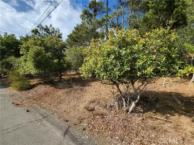 Cambria, CA 93428,0 Norwich AVE