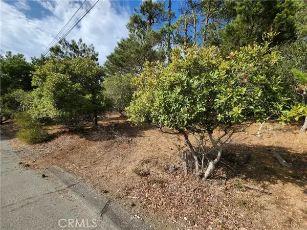 0 Norwich AVE, Cambria, CA 93428