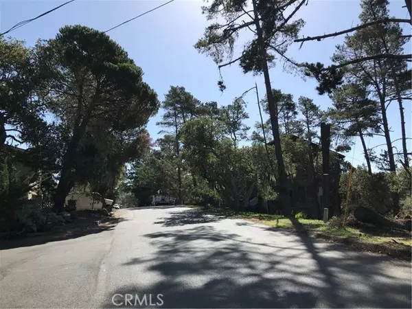 Cambria, CA 93428,0 Alban PL