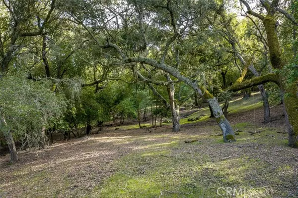 Atascadero, CA 93422,0 Morro Rd.