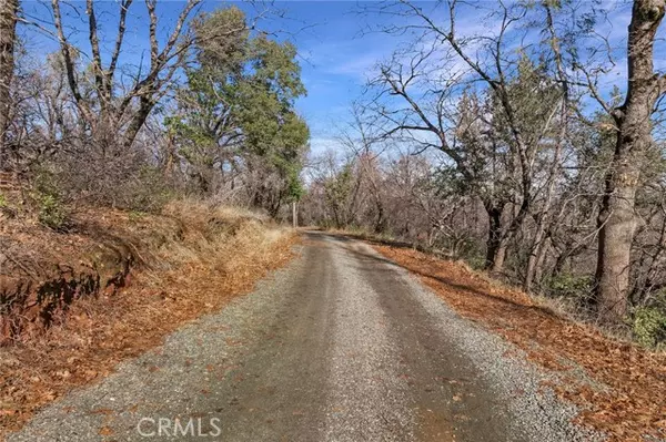 0 Little Ridge RD, Berry Creek, CA 95916