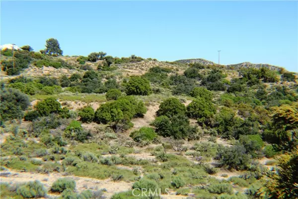 Anza, CA 92539,42560 Labrinia LN