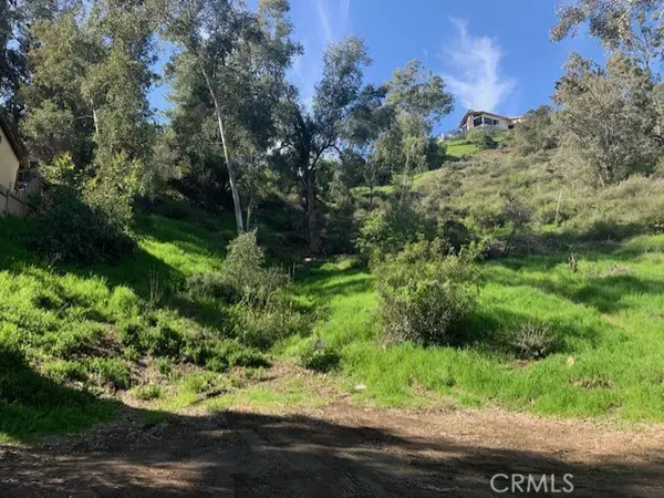 Lake Elsinore, CA 92530,0 BLACKWELL