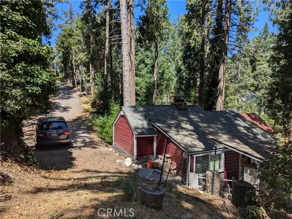 21920 Plunge RD, Cedarpines Park, CA 92322