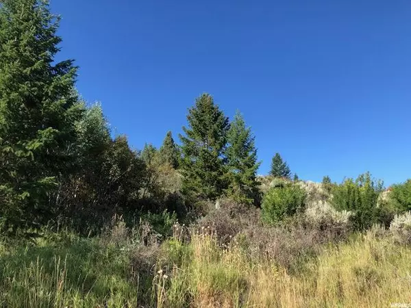 Lava Hot Springs, ID 83246,0 WOODWARD DR