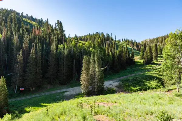 Park City, UT 84098,159 WHITE PINE CANYON RD #159