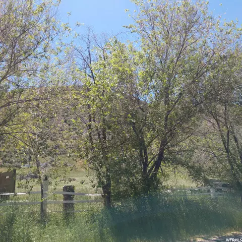 Address Not Disclosed
