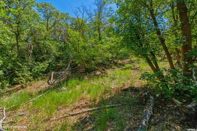 Herriman, UT 84096,16095 S ROSE CANYON RD W