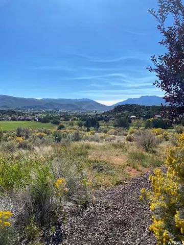 Heber City, UT 84032,2884 E BROWN DUCK MTN CIR (LOT 104) #104