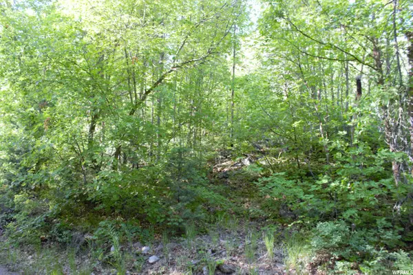 Midway, UT 84049,#18