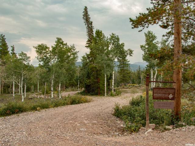 1743 E HAYDEN #8,  Kamas,  UT 84036