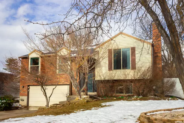 Address Not Disclosed