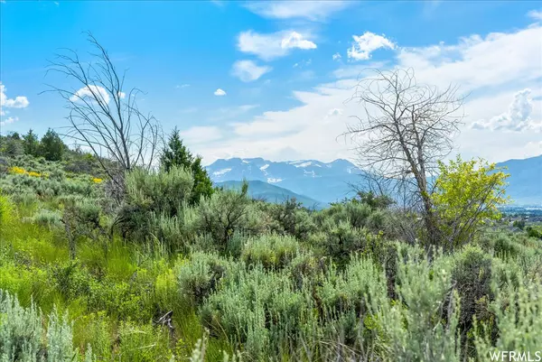 Heber City, UT 84032,7 S REMUDA RUN DR E #7