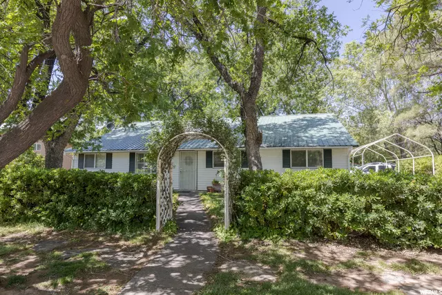 Address Not Disclosed