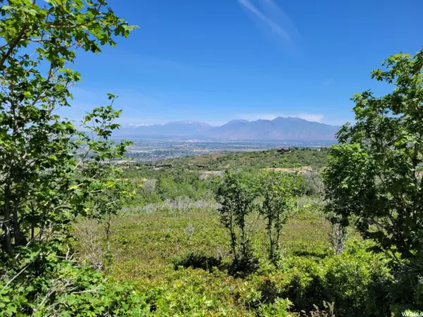 Woodland Hills, UT 84653,1055 S BEAR HOLW