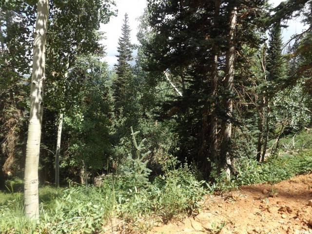Brian Head, UT 84719,449 W SKI VIEW DR #3