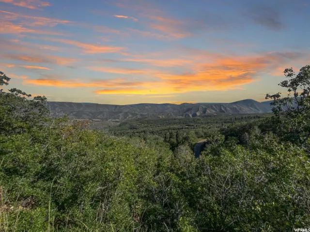 Springville, UT 84663,111 UPPER WHITTEMORE DR #111