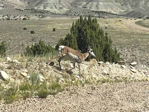 Duchesne, UT 84021,9210 S BIG BUCK RUN #30