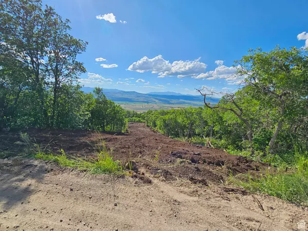 Fairview, UT 84629,694 E LODGE DRIVE S #694