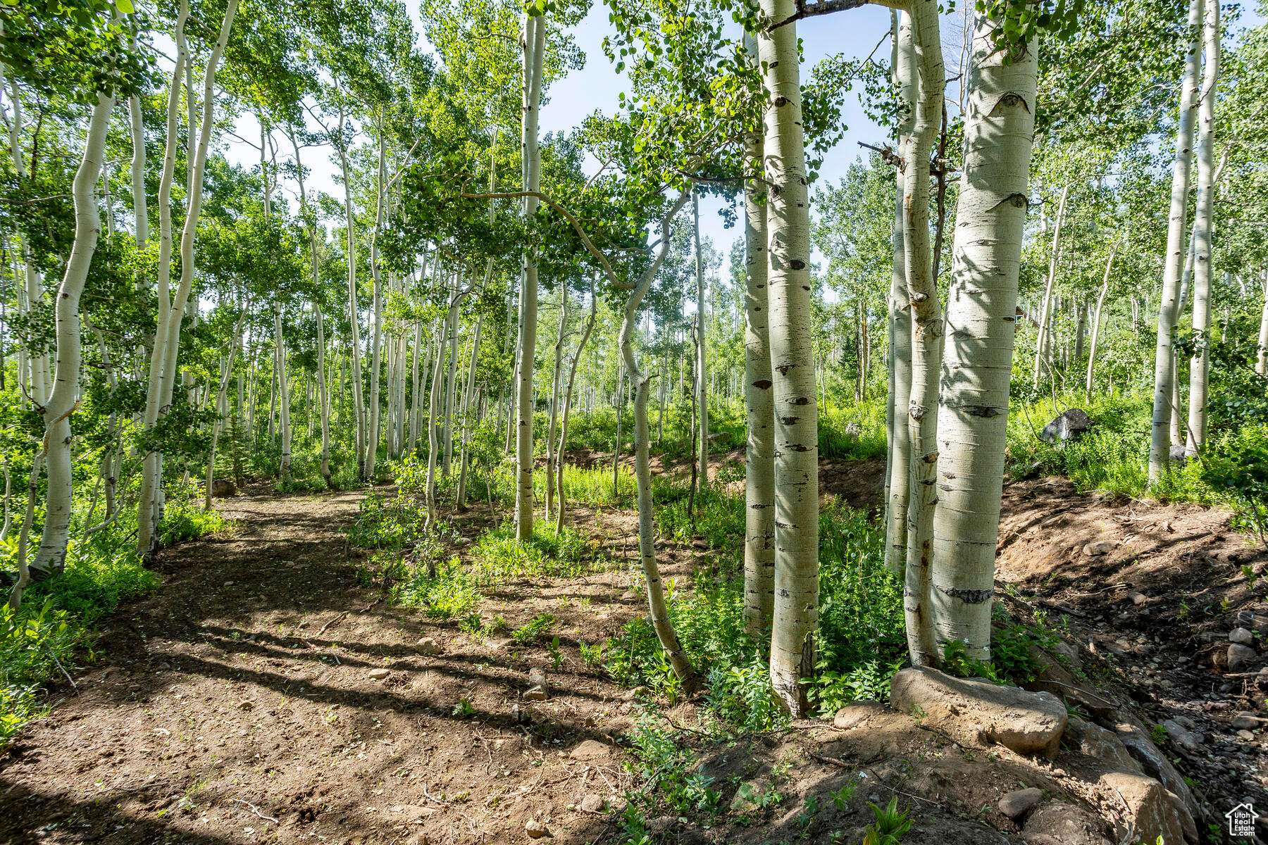 Midway, UT 84049,5156 N PEBBLE DR