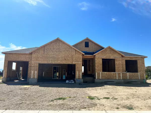 Address Not Disclosed