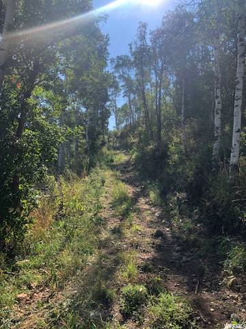 Echo, UT 84024,117 TRAPPERS LOOP #117