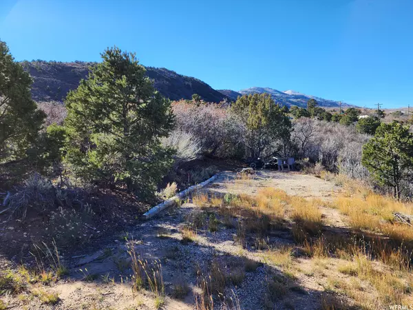 Tabiona, UT 84072,1038 E TABBY ACCESS RD