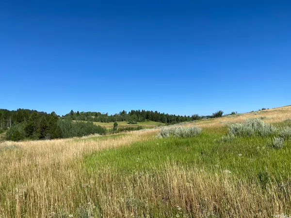 Freedom, WY 83120,5 GROUSE LOOP RD #5