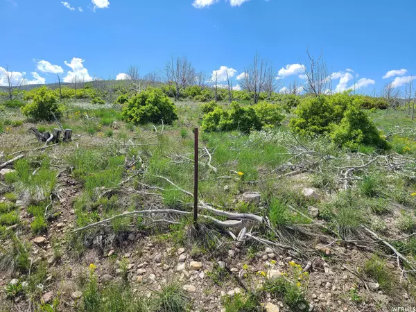 Indianola, UT 84629,6 W THUNDER CLOUD CRK #C6