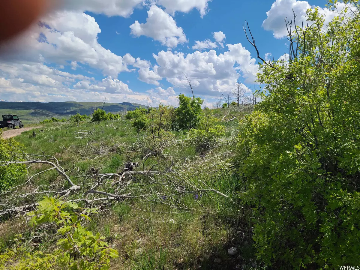 Indianola, UT 84629,6 W THUNDER CLOUD CRK #C6