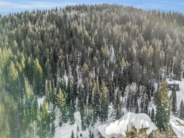 Brighton, UT 84121,11470 E BOULDER FORK LN S