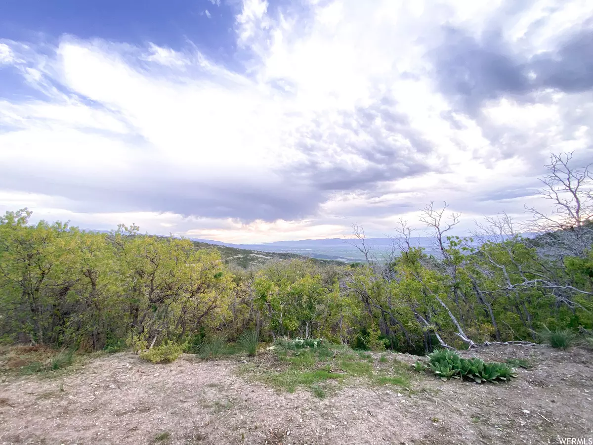 Fairview, UT 84629,35 E MULEY FLATS DR S #35