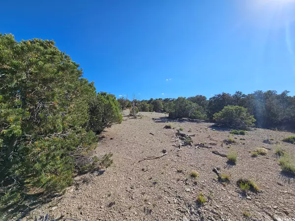 Duchesne, UT 84021,#4