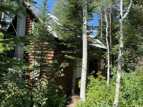 Brighton, UT 84121,11472 E SILVER FORK RD