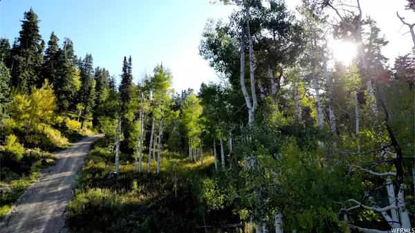 Wanship, UT 84017,1803 PINE LOOP RD #72
