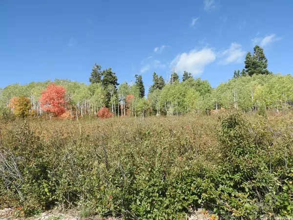 14 E MAIN ROAD DR #14, Fairview, UT 84629