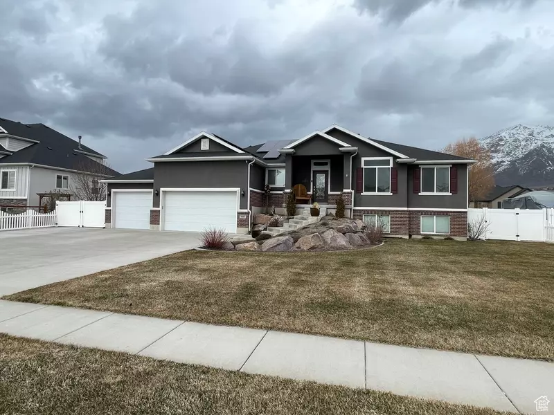 Address Not Disclosed