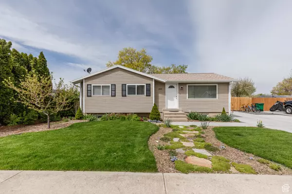 Address Not Disclosed