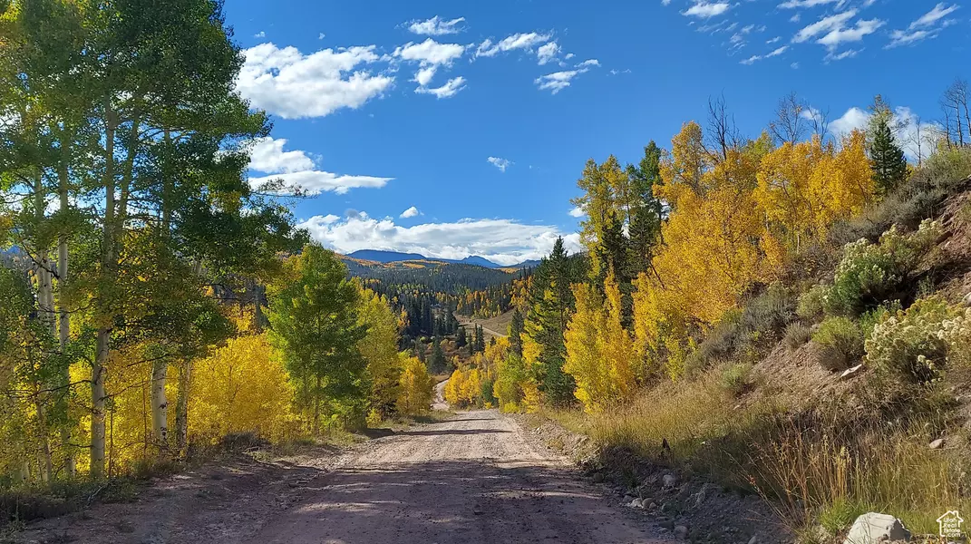 Address Not Disclosed