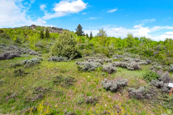 Garden City, UT 84028,583 S BALSAMORHIZA RD #29